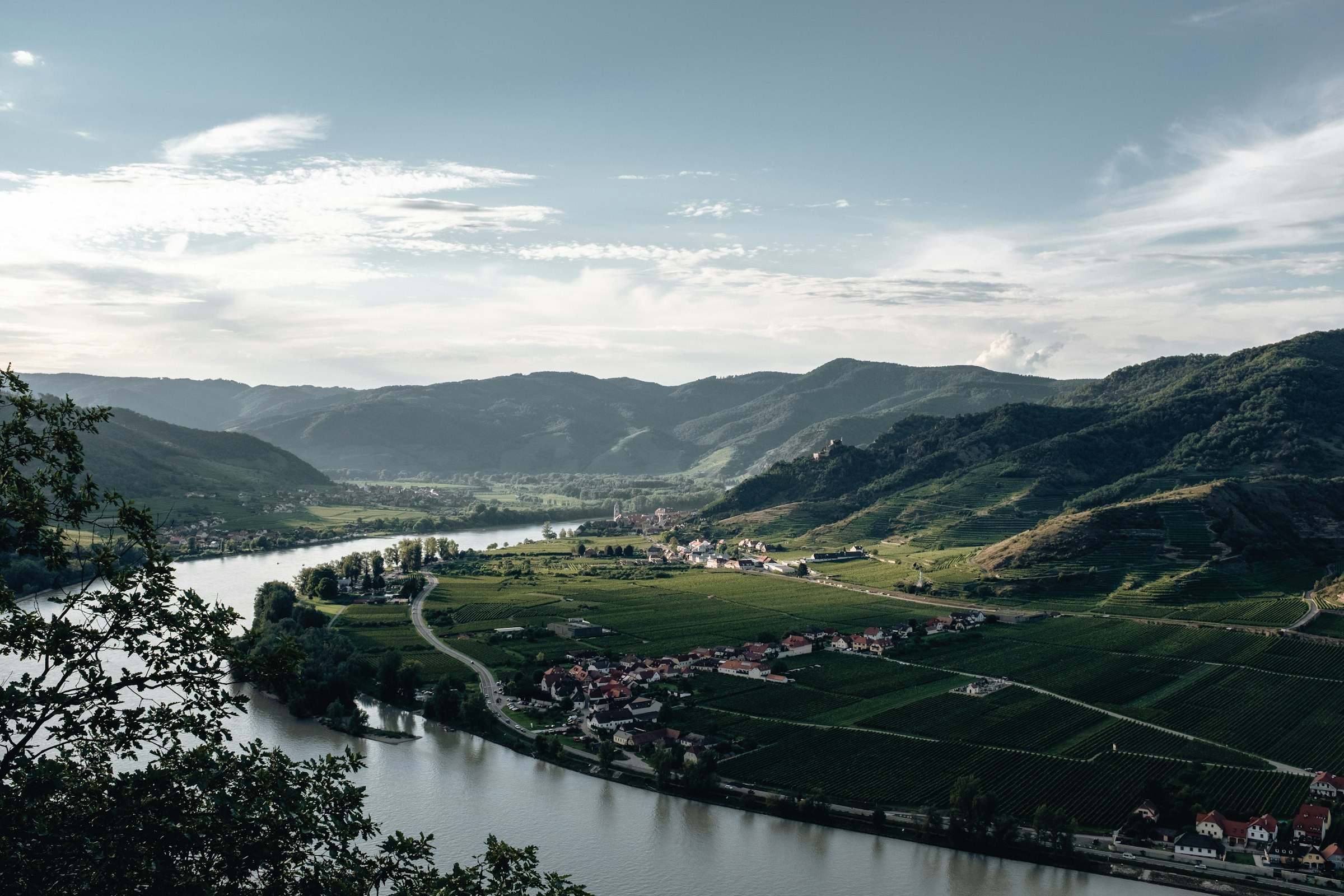 Blick über das Donautal mit Weinbergen